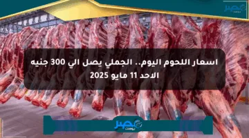 أسعار اللحوم اليوم.. الجملي يصل إلى 300 جنيه الأحد 11 مايو 2025